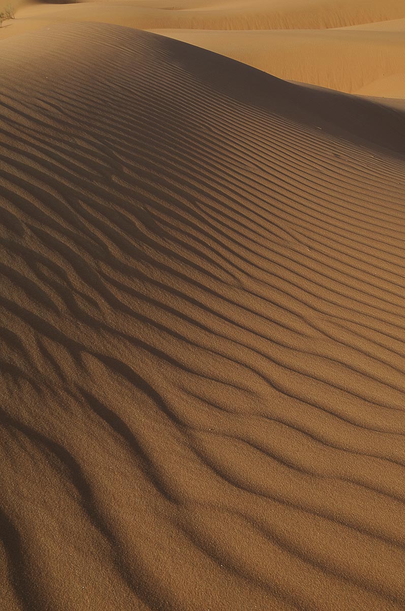 1-Saudi-Arabia-Empty-Quarter-Dunes-0711new