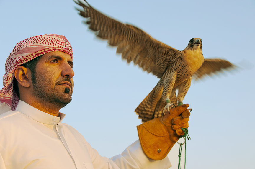 21-Omar falcon wingspread