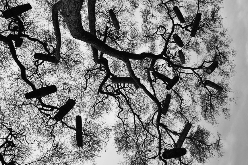 24-Beehives b & w